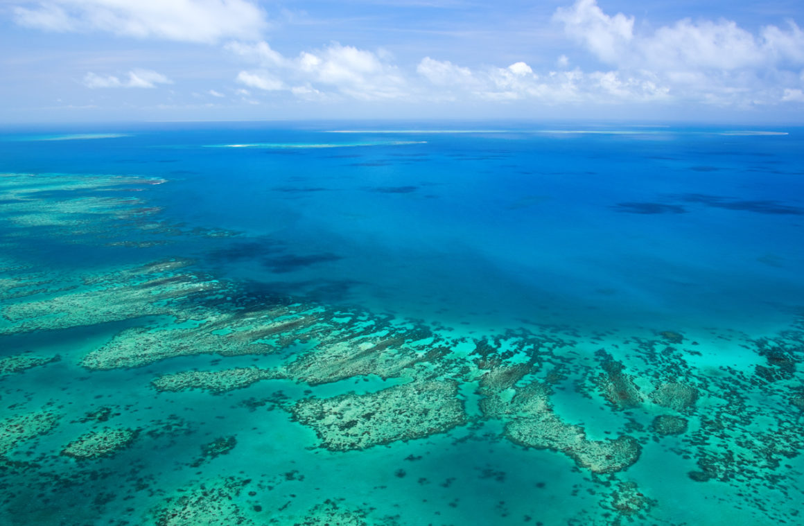Remote Areas of Ocean Off Australia Are Found to Have Large Volume of Plastics Sitting on Seafloor