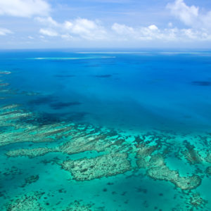 Remote Areas of Ocean Off Australia Are Found to Have Large Volume of Plastics Sitting on Seafloor